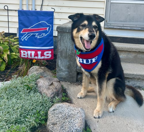 Customer photo review of Buffalo Knit Bandana – PRE-ORDER