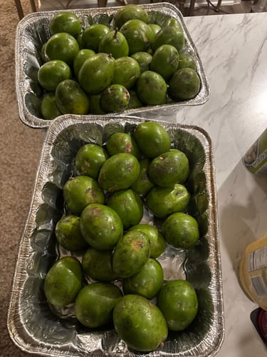 Customer photo review of June Plum *** Pre Order ***