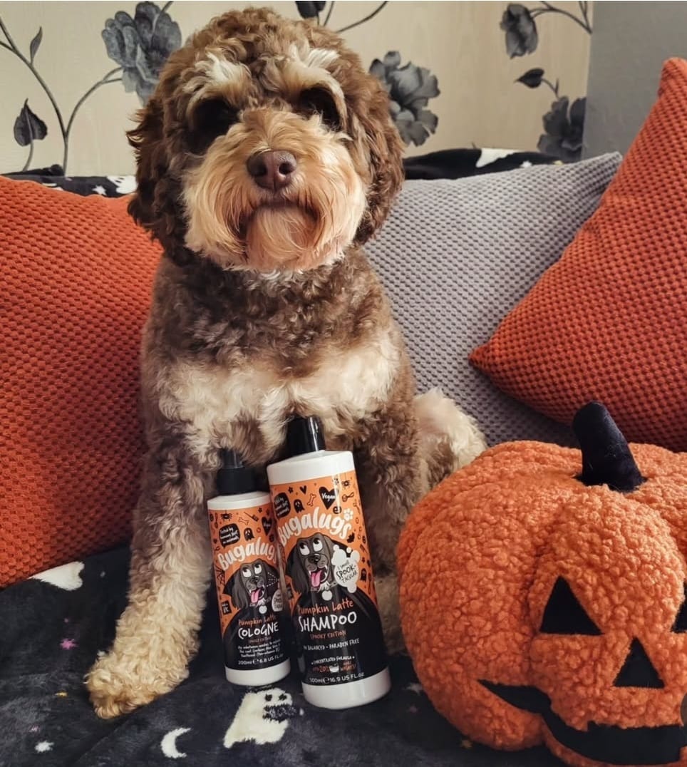 Customer photo review of Spooky Edition: Pumpkin Latte Bundle (Shampoo + Cologne)