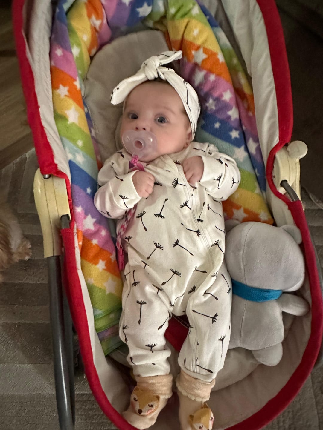 Customer photo review of Faixinha de Cabelo Infantil | Dandelion