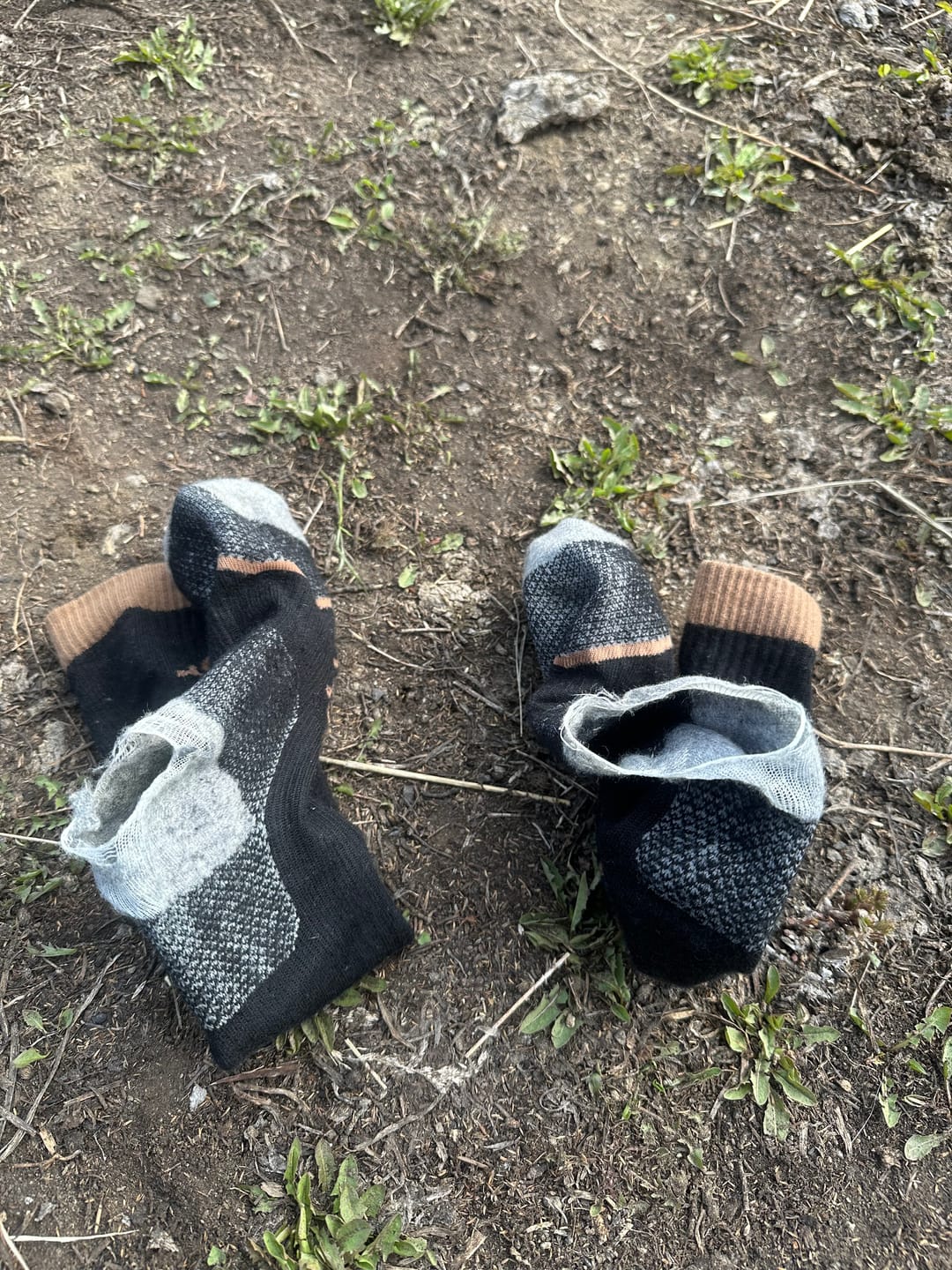Customer photo review of Elite Merino Socks