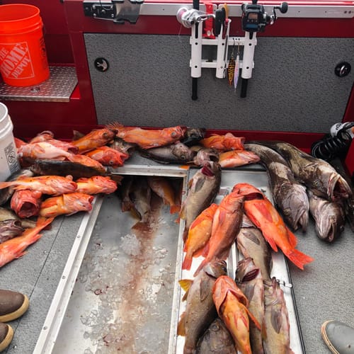 Customer photo review of Exclusive Long Shank Jig Heads 4 PACK by Fisherman's Life (1/2oz, 1oz, 1.5oz)