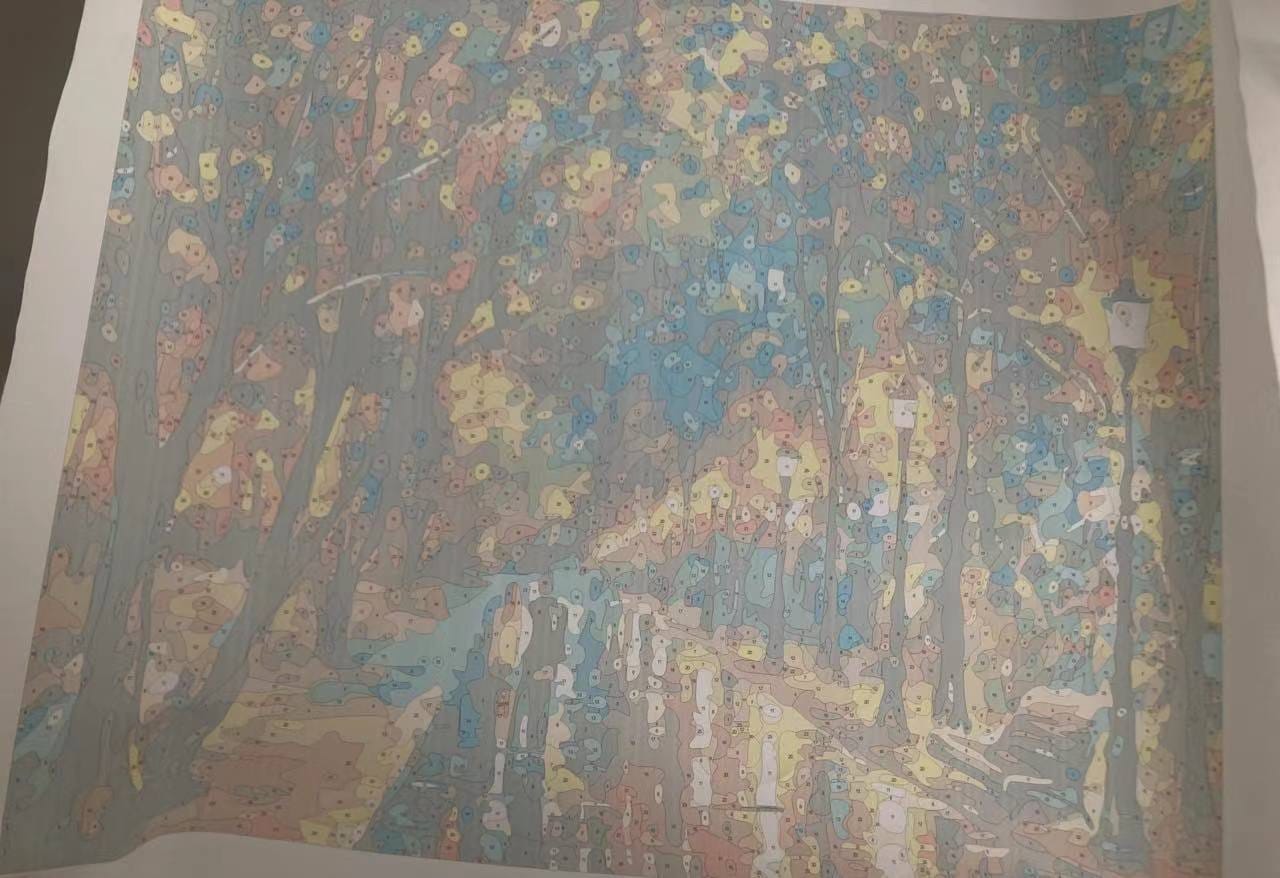 Customer photo review of Twilight Walk Together – Paint by Numbers