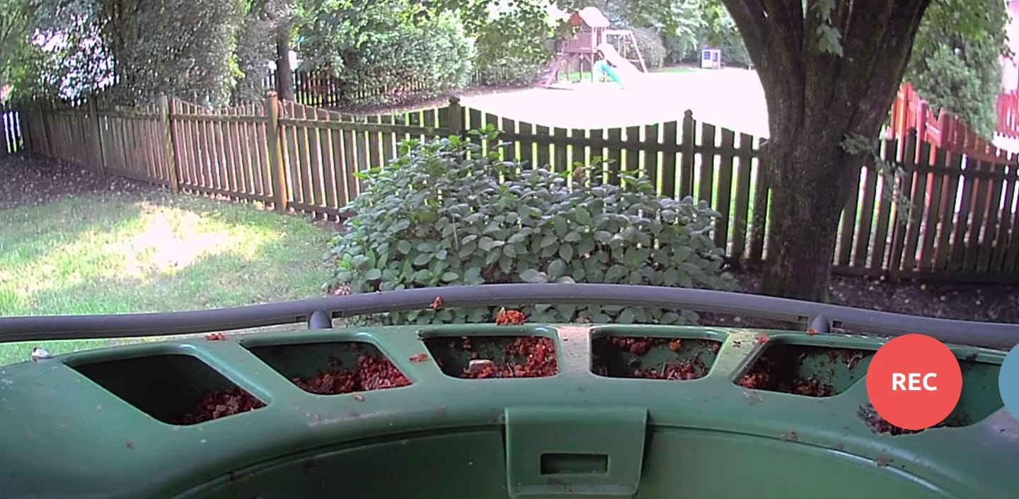Customer photo review of Birdfy Feeder 2 Pro - Dual-Lens Smart Bird Feeder with Camera