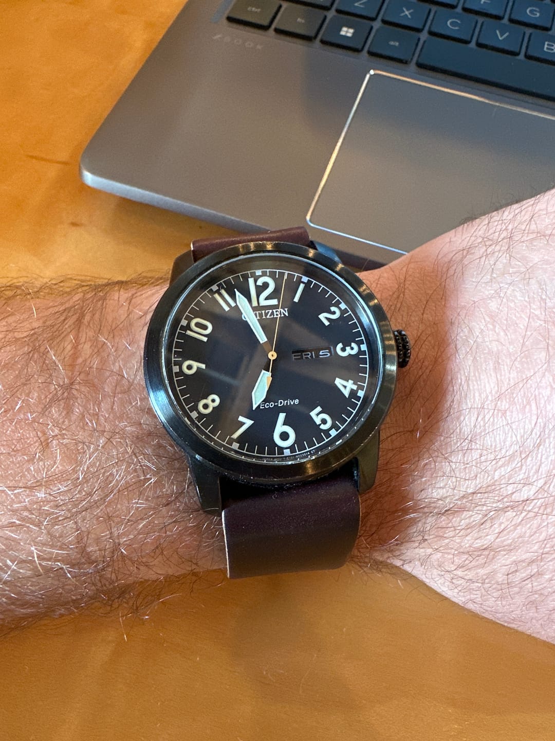 Customer photo review of Safari Shell Cordovan Single-Pass Strap - NEW