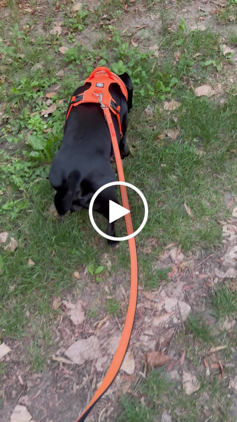 Customer video review of 1.4m Active Light Lead - Orange