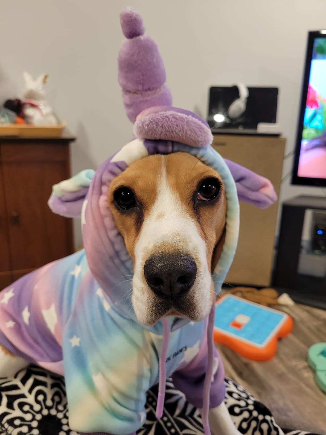Customer photo review of Halloween Dog Hoodie - Unicorn