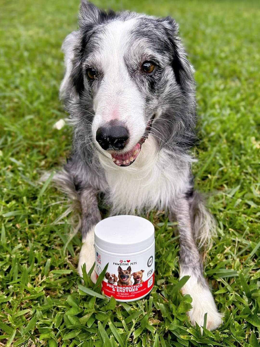 Customer photo review of Probiotics for Dogs Digestive Health