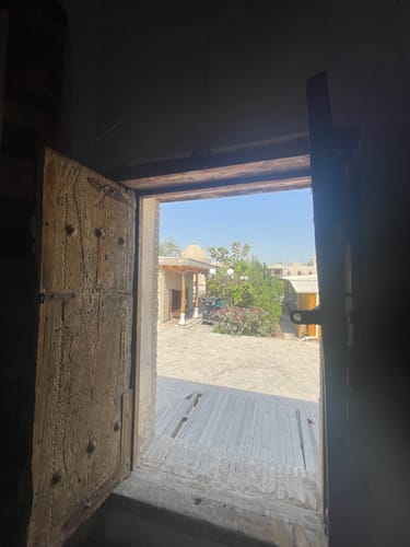 Customer photo review of Om Lisa - Green Acid Washed