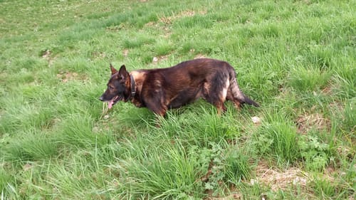 undefined review of Nature Protect image 1 out of 1