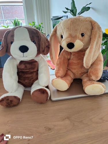 Customer photo review of Lotgenootje Konijn 2kg