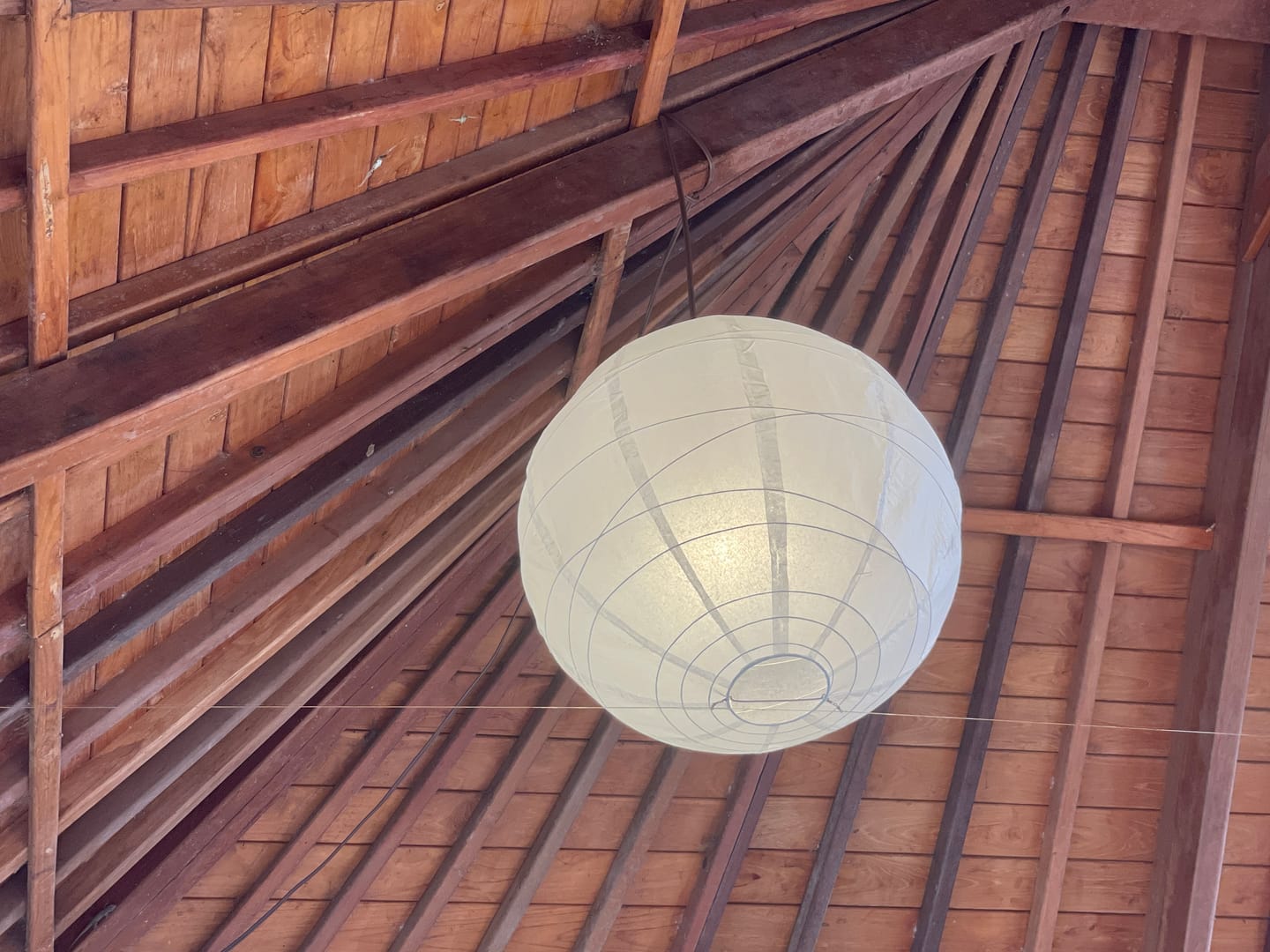 Customer photo review of 20 Inch White Free-Style Ribbing Round Paper Lantern