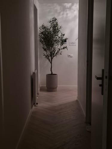 Customer photo review of Kunst Olijfboom 210cm