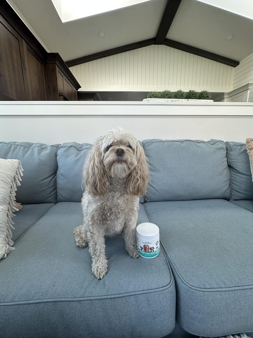 Customer photo review of Hemp Calming Chews for Dogs