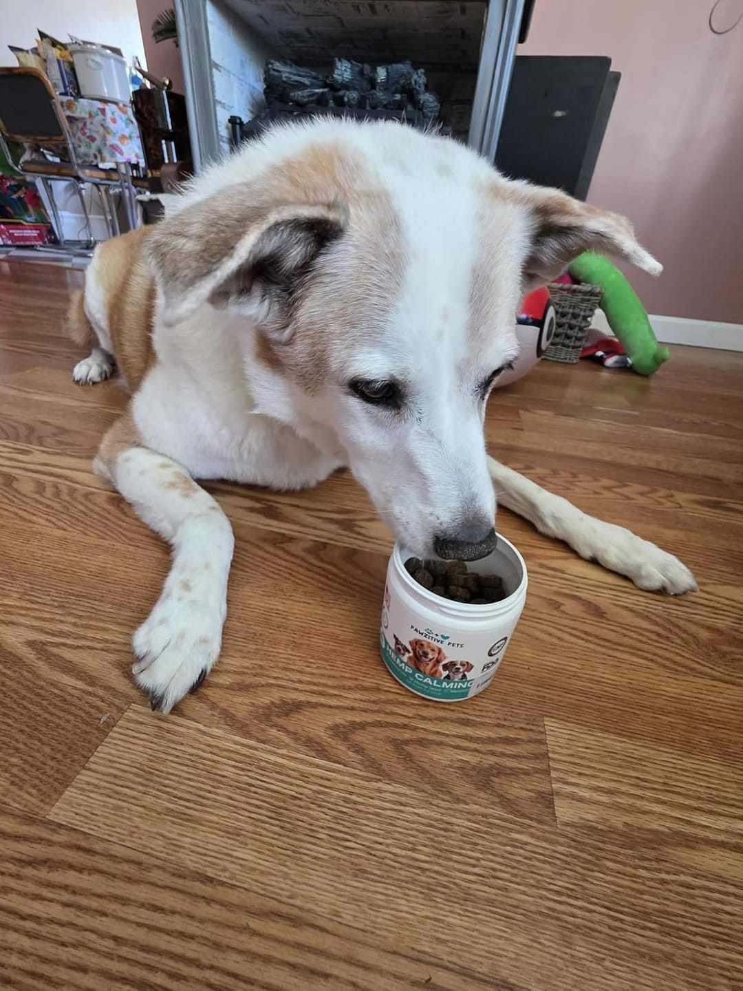 Customer photo review of Hemp Calming Chews for Dogs