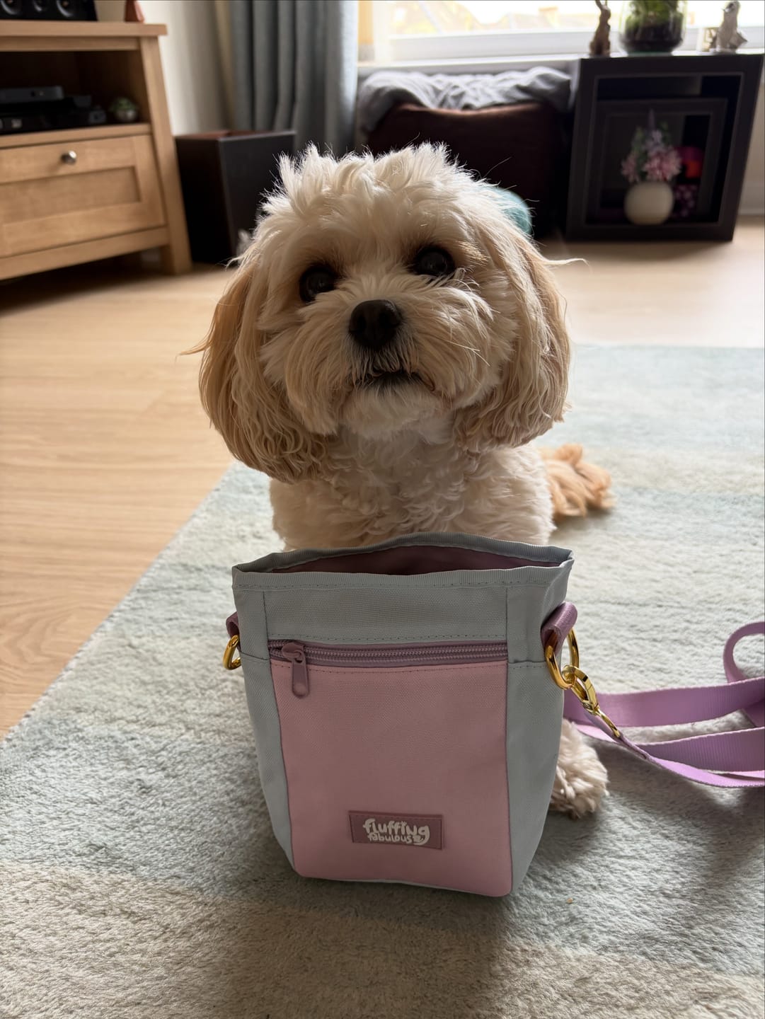 Customer photo review of Treat Pouch