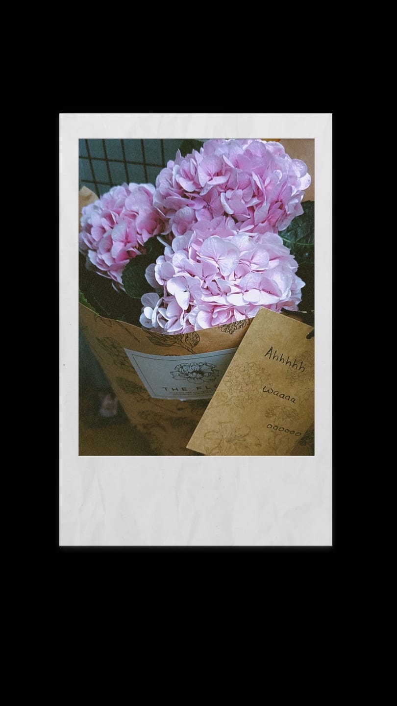 Customer photo review of Hydrangea