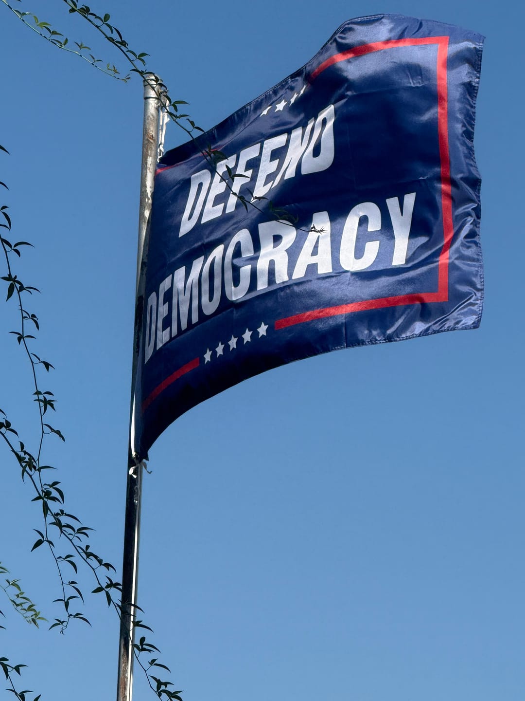 Customer photo review of Defend Democracy Political Flag