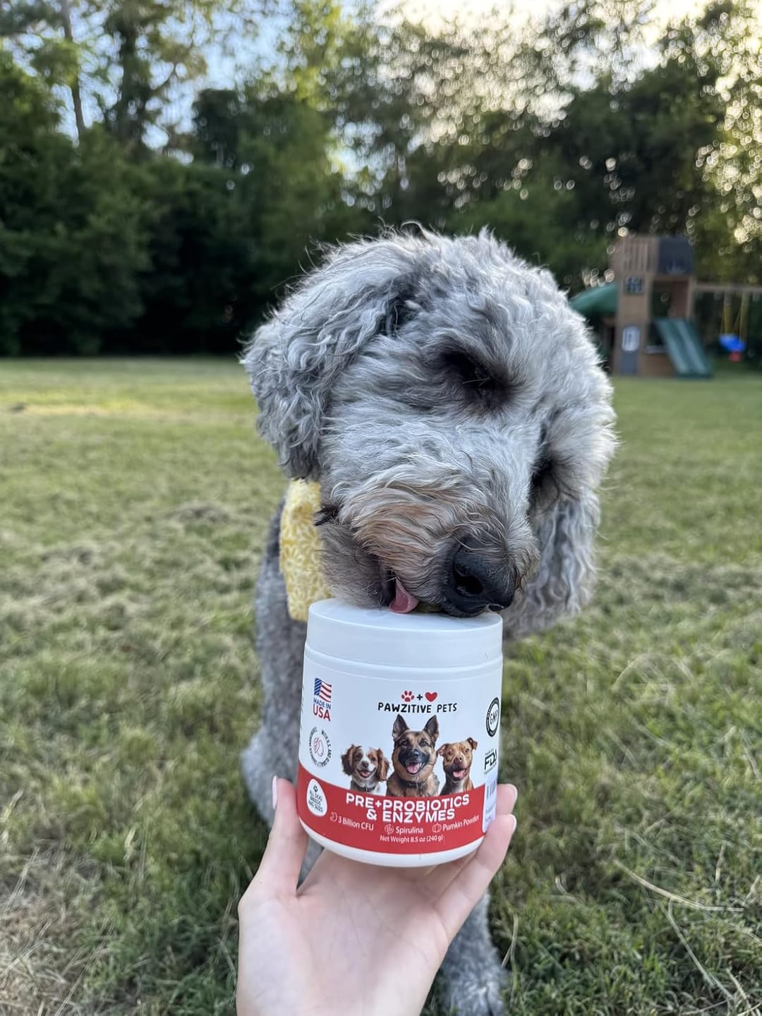 Customer photo review of Probiotics for Dogs Digestive Health