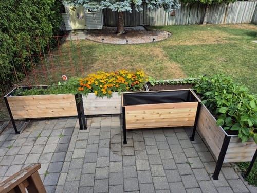 Customer photo review of 18" x 48" Raised Garden Bed - 30" TALL
