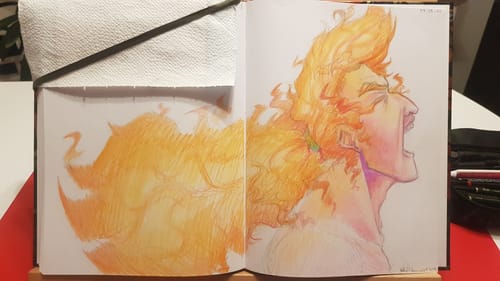 Customer photo review of 120 Piece Castle Gold Coloured Pencil Set in Zip Up Case