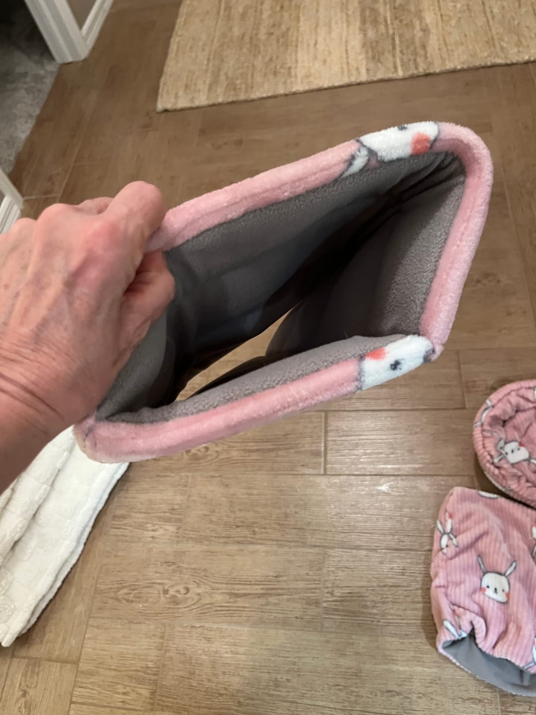 Customer photo review of GuineaDad Plush Piggy Play Package