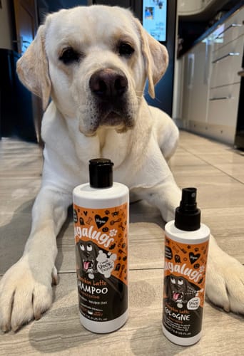 Customer photo review of Spooky Edition: Pumpkin Latte Bundle (Shampoo + Cologne)
