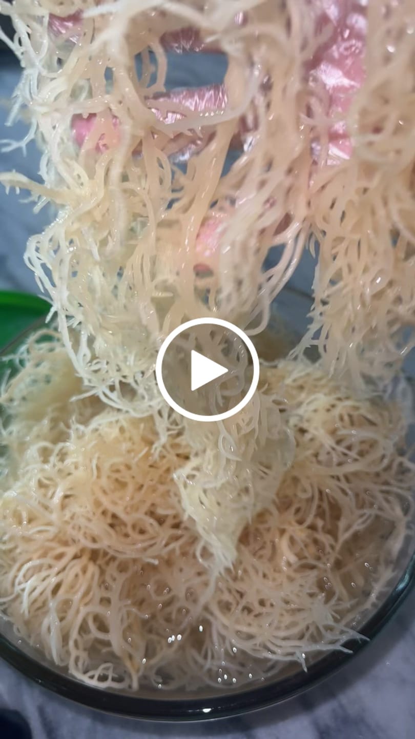 Customer video review of St Lucia Wildcrafted Sea moss