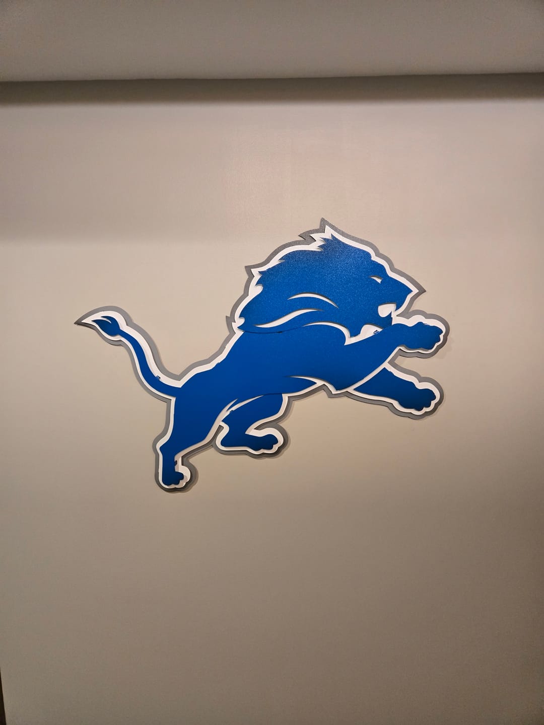 Customer photo review of Detroit Lions 3D Vintage Metal Wall Art
