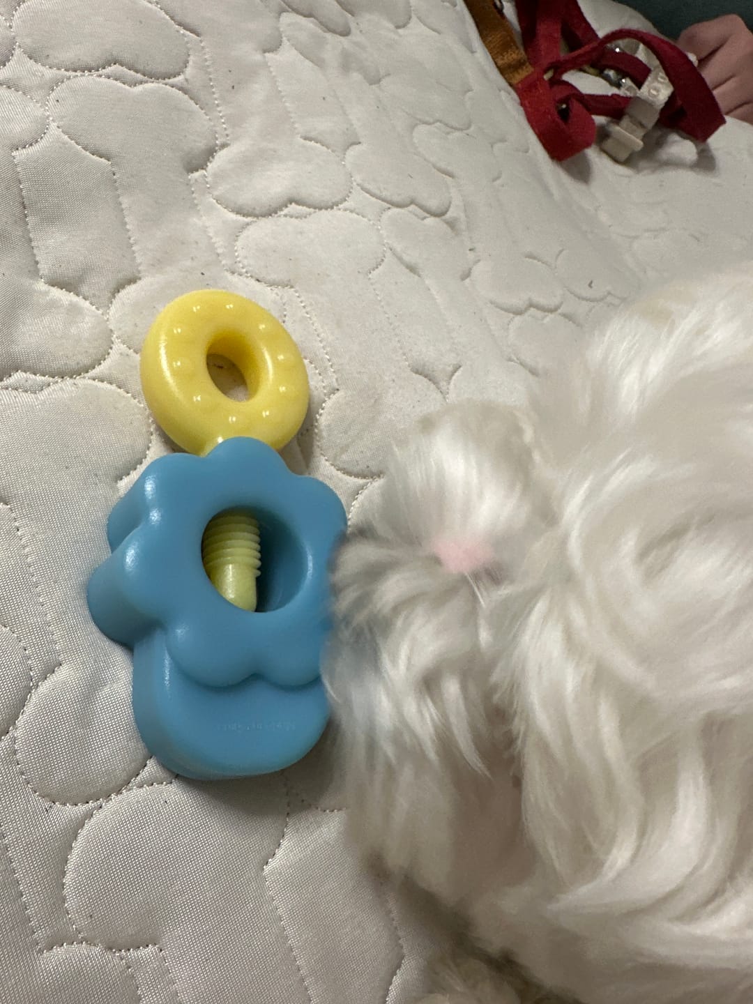 Customer photo review of Easy Bite Grip (2 colors)