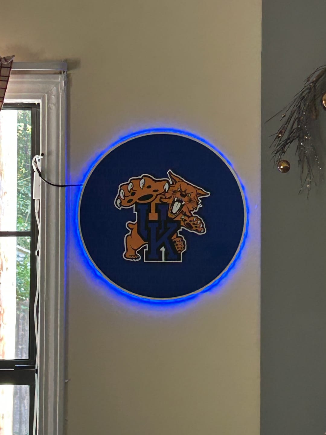 Customer photo review of Kentucky Wildcats CRAFT SERIES 3D Embossed Metal Wall Art