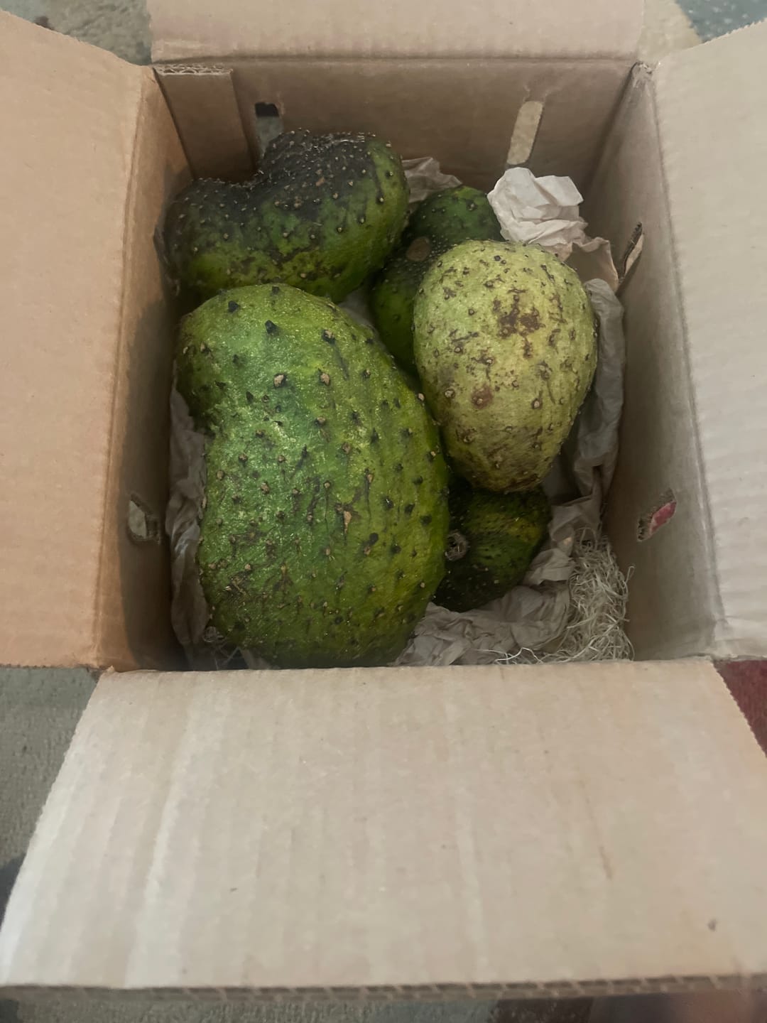 Customer photo review of Premium Soursop (Guanabana)