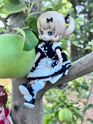 Customer photo review of Minty Fantasy Forest Series General Hidden - Daisy BJD Action Figure