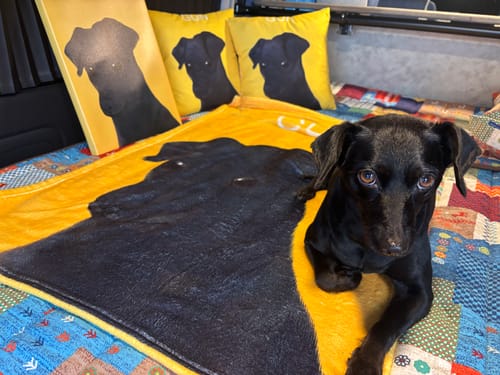 Customer photo review of Petcanva©オーダーメイド ペット似顔絵