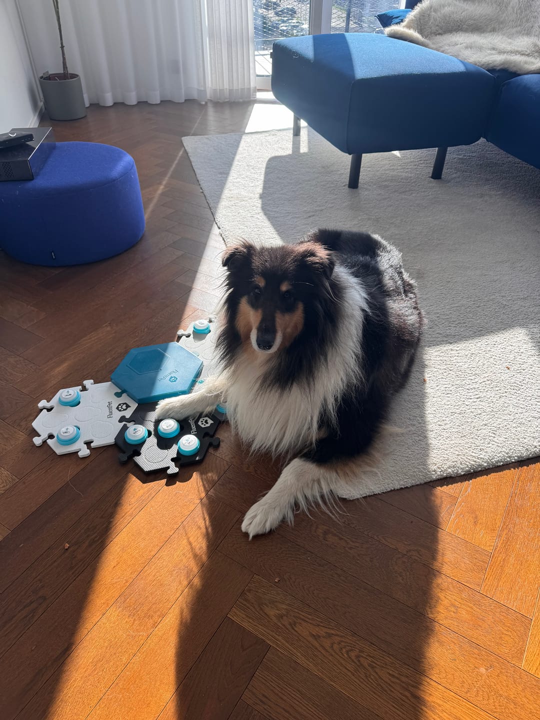 Customer photo review of Connect Key Vocab Kit with Base Neutral