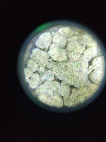 Customer photo review of Rosé THCA Flower