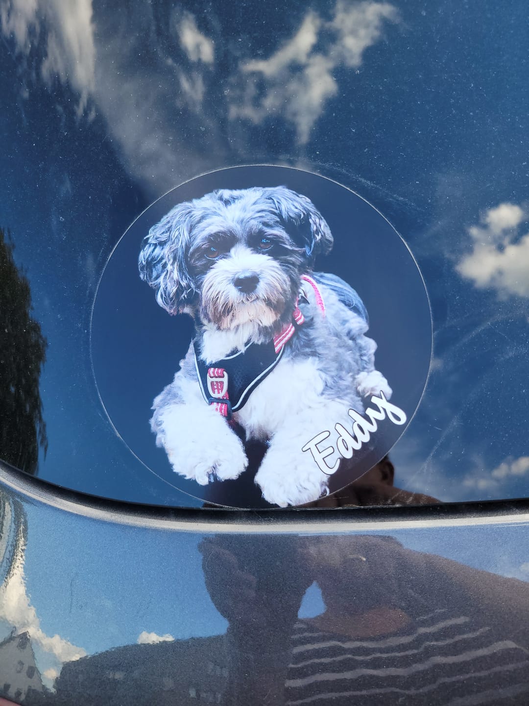 Customer photo review of Dein Foto - Individueller Autoaufkleber