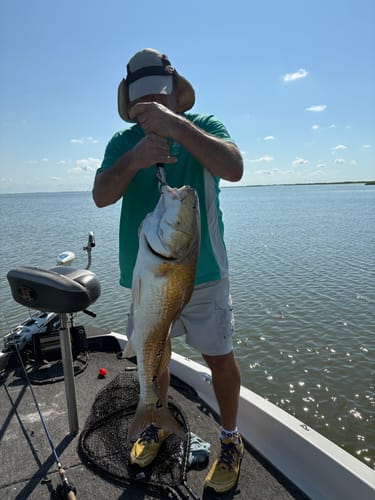 Customer photo review of Deathgrip Jighead - 5 Per Pack