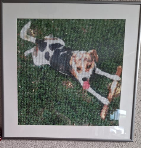 Customer photo review of Eigen Foto Diamond Painting