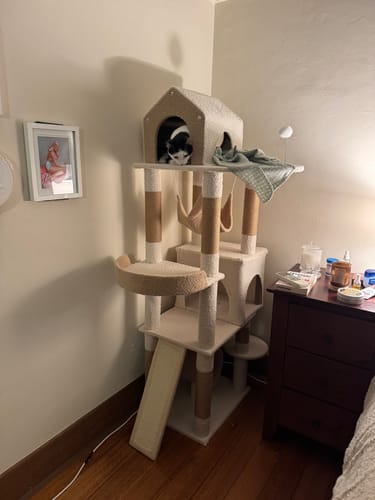 Customer photo review of Ona's Cottage Multi-Tier Cat Tree with Cat Scratching Posts