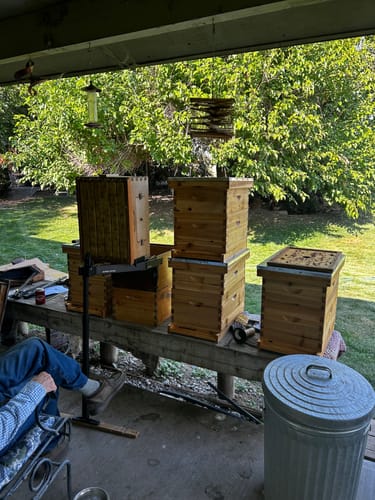 Customer photo review of MayBee Hives 8 Frame 2 Layer Cedar Wood Langstroth Beehive Include 1 Deep Brood Box,1 Honey Super Bee Box.Complete Beehive Kit For Beekeeper(NO LOGO)