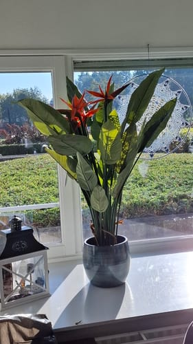 Customer photo review of Strelitzia Kunstplant 120cm met bloem