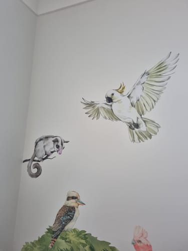Customer photo review of Pick 4 Animals! - Australian Animal Wall Stickers