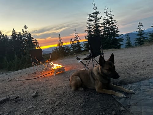 Customer photo review of The Howl R1