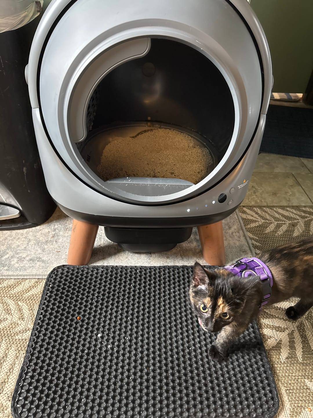 Customer photo review of [🔥Labor Day Sale]Orbitie with Wide Opening Self Cleaning Litter Box