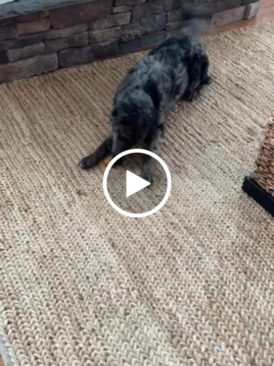 Customer video review of Turmeric Yak Chews
