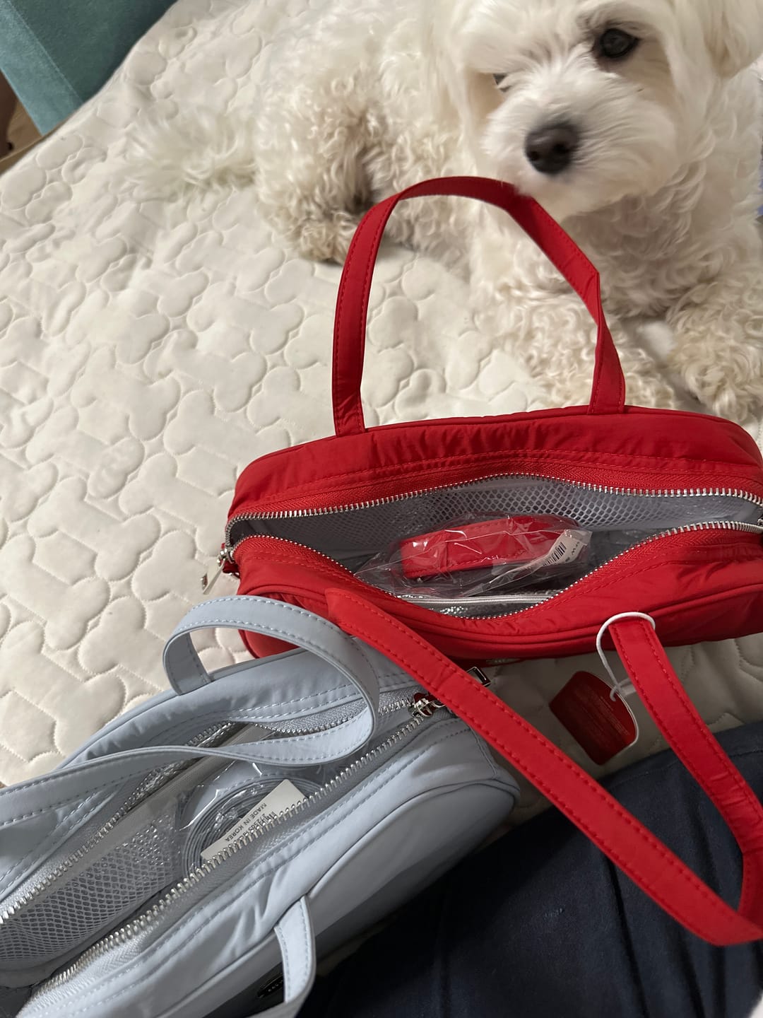 Customer photo review of SSFW Coolette Bag (3 colors) Preorder