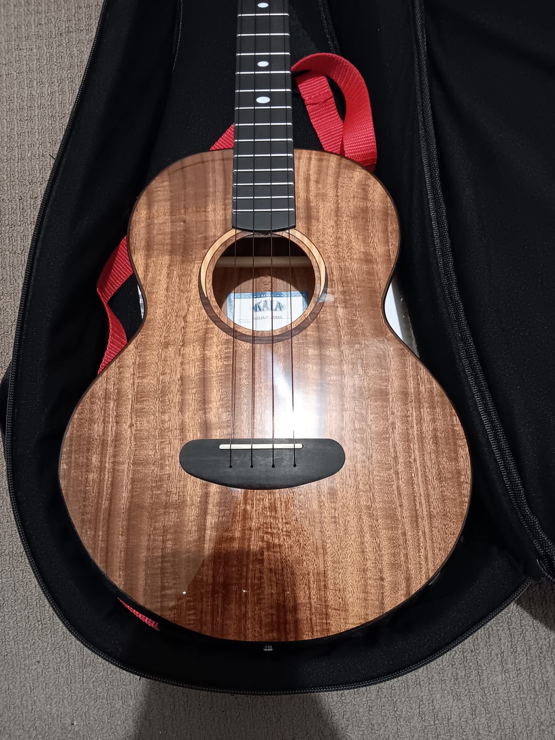Customer photo review of BB Worth Brown Baritone Ukulele Strings DGBE Tuning Fluorocarbon 2 Restrings per Packet