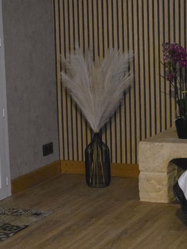 Customer photo review of Pampas 110cm (3 tiges)- Beige