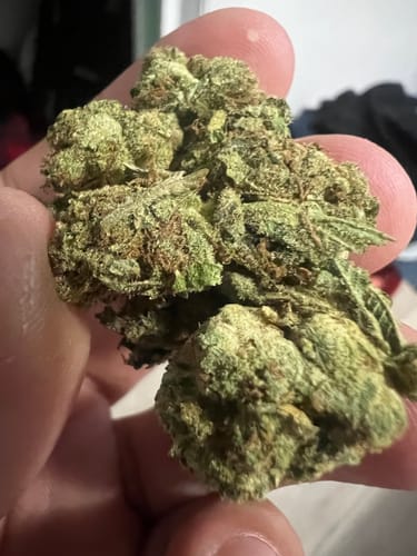 Customer photo review of SFV OG  - 14 Grams - Indica